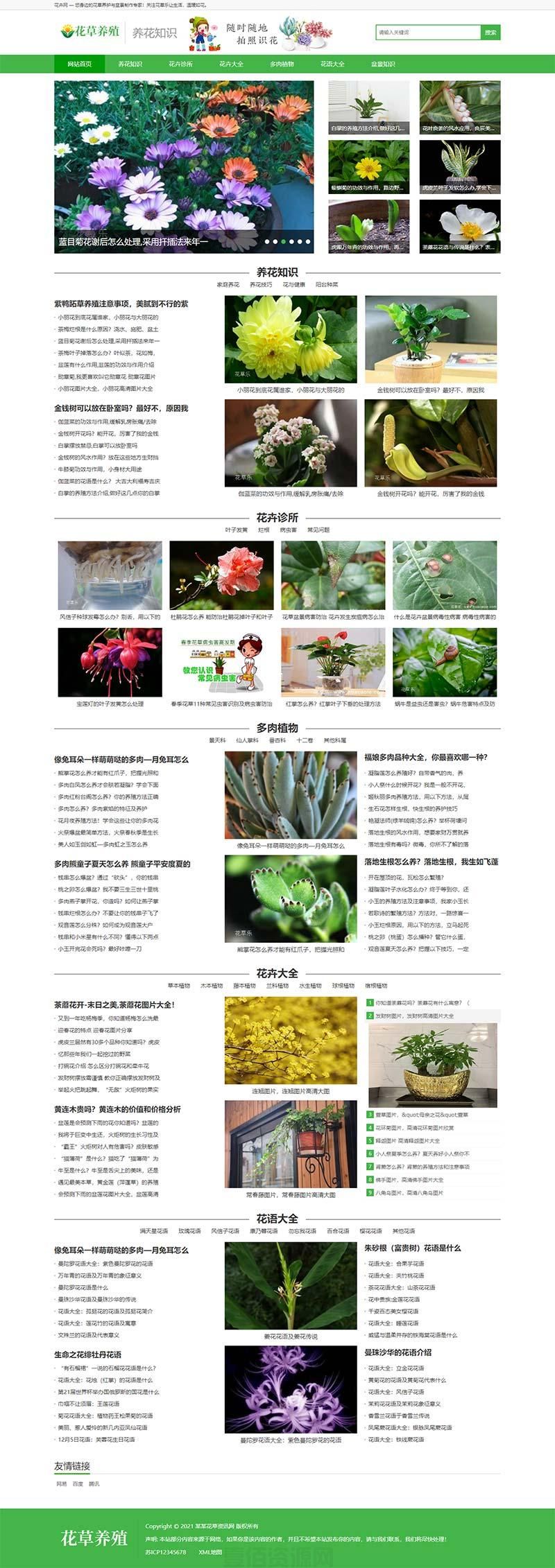(带手机版数据同步)花卉养殖新闻资讯类织梦模板 绿色花草植物网站模板下载(图1)